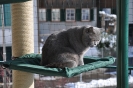 Outdoorbaum_6
