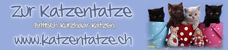 banner katzentatze_2012